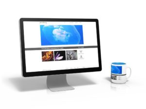 Screen showing images on Pixabay - one of many sites for free images.