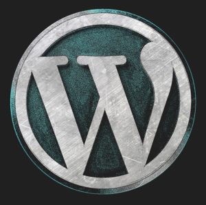 WordPress logo - consider the best software for your website.