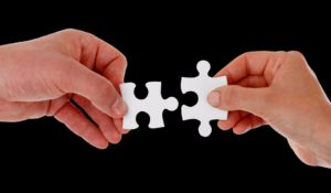 Like two pieces of a puzzle coming together - so must you and your business partners.