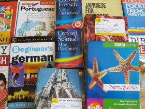 Replace all these dictionaries with the application of TMS and optimize international websites.