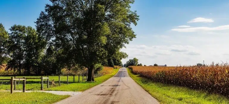 A road in Indiana, a state where one of the best US cities for moving with family is located.